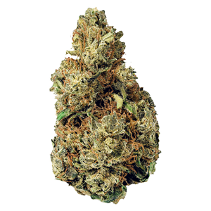 Terp Town Collective - Resting Gas Face - Indica - 3.5g